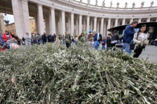 23-Palm Sunday: Passion of the Lord - Commemoration of the Lord's entrance into Jerusalem and Holy Mass